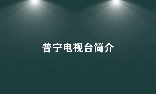 普宁电视台简介