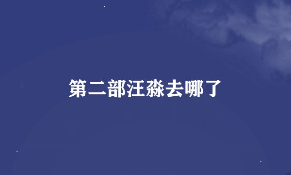 第二部汪淼去哪了