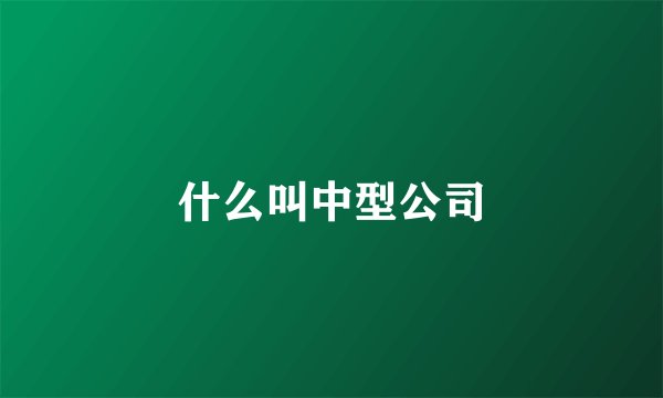 什么叫中型公司