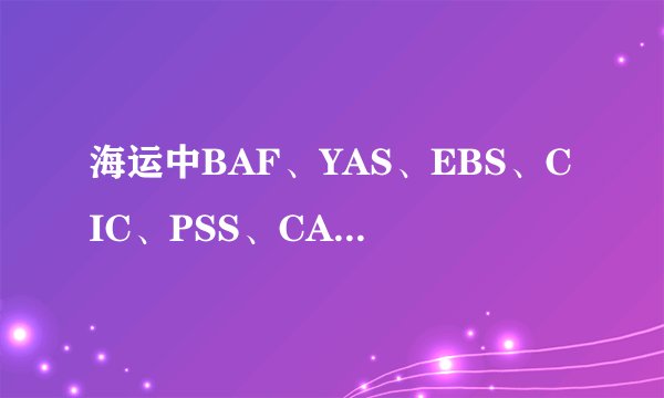 海运中BAF、YAS、EBS、CIC、PSS、CAF、ECRS分别是什么意思？越详细越好！