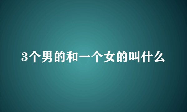 3个男的和一个女的叫什么