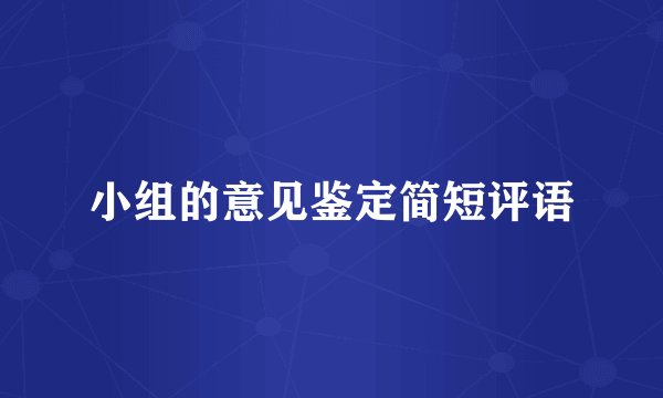 小组的意见鉴定简短评语