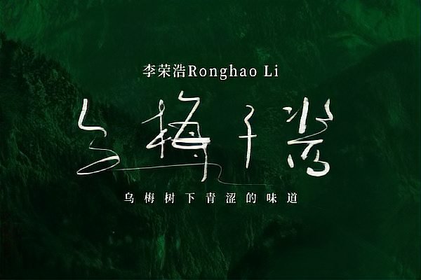 好听的网络歌曲100首