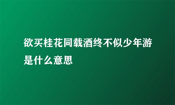 欲买桂花同载酒终不似少年游是什么意思