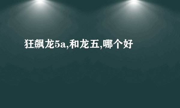 狂飙龙5a,和龙五,哪个好