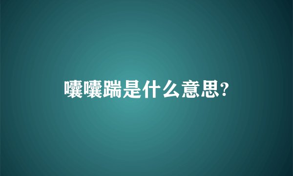 囔囔踹是什么意思?