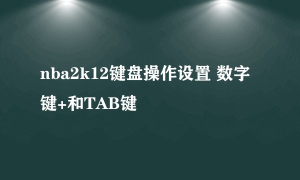 nba2k12键盘操作设置 数字键+和TAB键