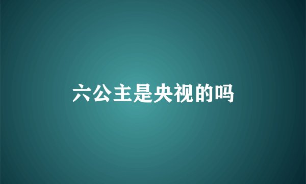 六公主是央视的吗