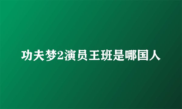 功夫梦2演员王班是哪国人