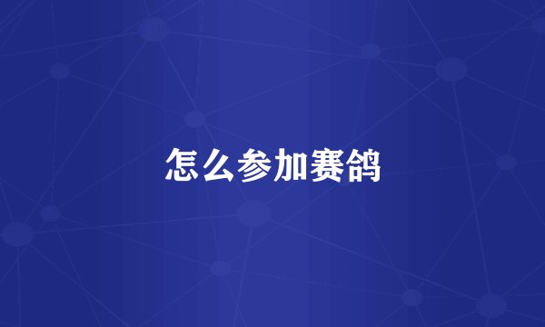 怎么参加赛鸽