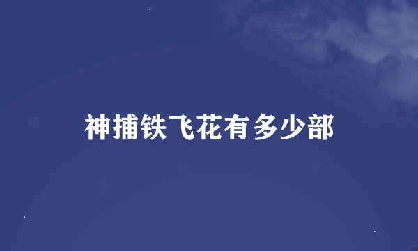 神捕铁飞花有多少部