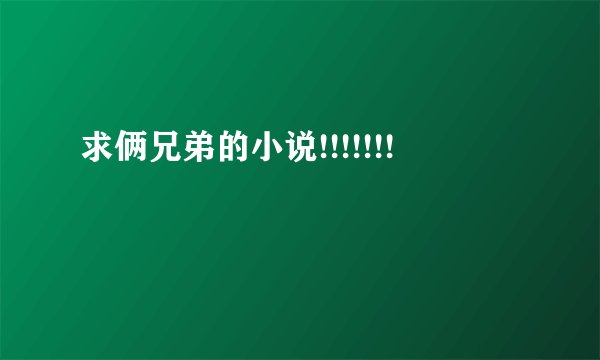 求俩兄弟的小说!!!!!!!