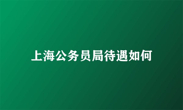 上海公务员局待遇如何