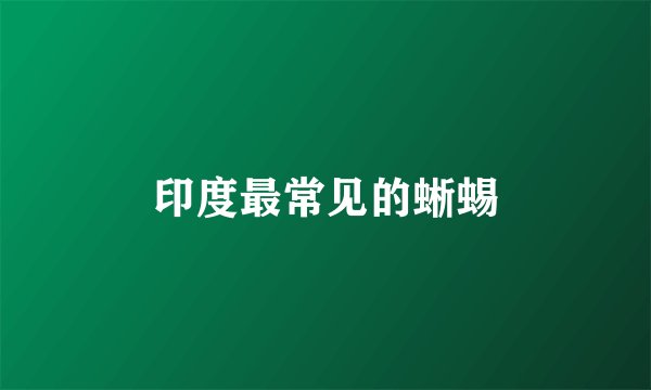 印度最常见的蜥蜴