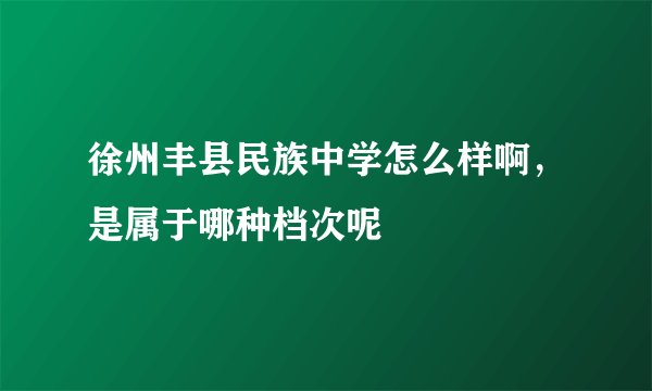 徐州丰县民族中学怎么样啊，是属于哪种档次呢