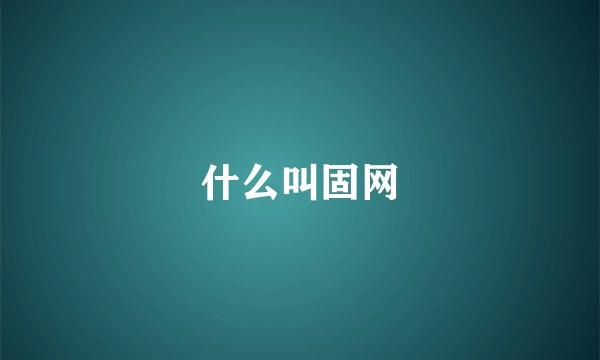 什么叫固网