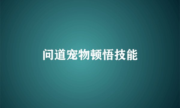 问道宠物顿悟技能
