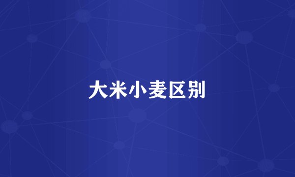 大米小麦区别