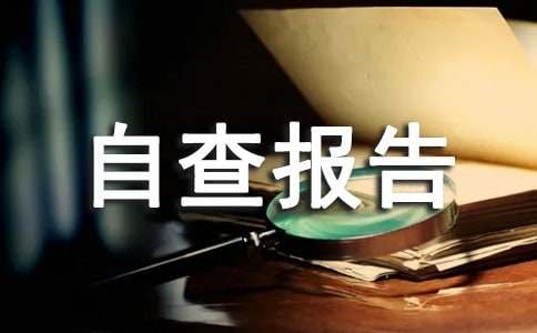 庸懒散奢个人自查报告