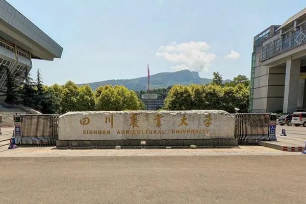 四川农业大学录取分数线2023
