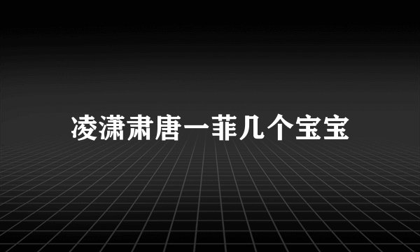 凌潇肃唐一菲几个宝宝