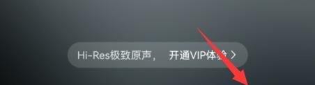 网易云音乐一起听歌功能在哪里开启