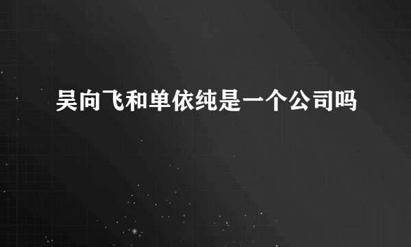 吴向飞和单依纯是一个公司吗