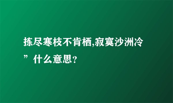 拣尽寒枝不肯栖,寂寞沙洲冷”什么意思？