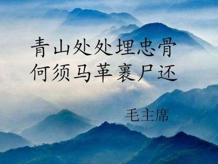 青山处处埋忠骨何须马革裹尸还。“忠骨”指的是什么意思？