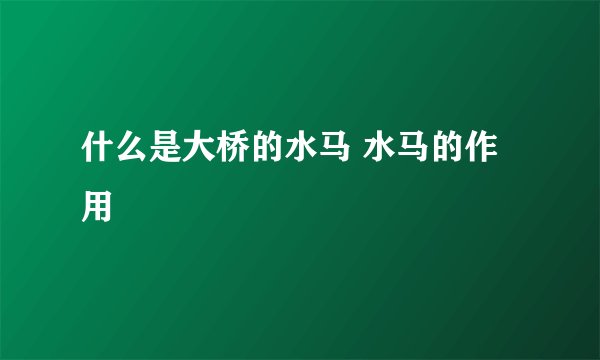 什么是大桥的水马 水马的作用