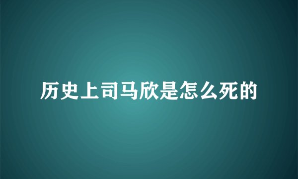 历史上司马欣是怎么死的