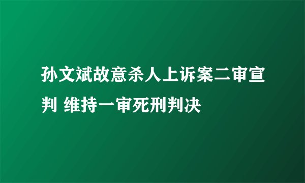 孙文斌故意杀人上诉案二审宣判 维持一审死刑判决