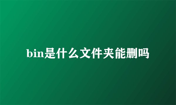 bin是什么文件夹能删吗