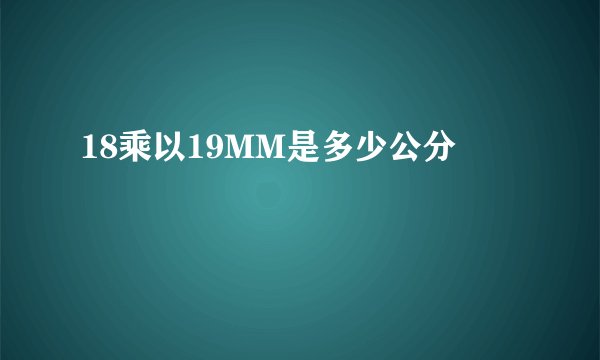 18乘以19MM是多少公分