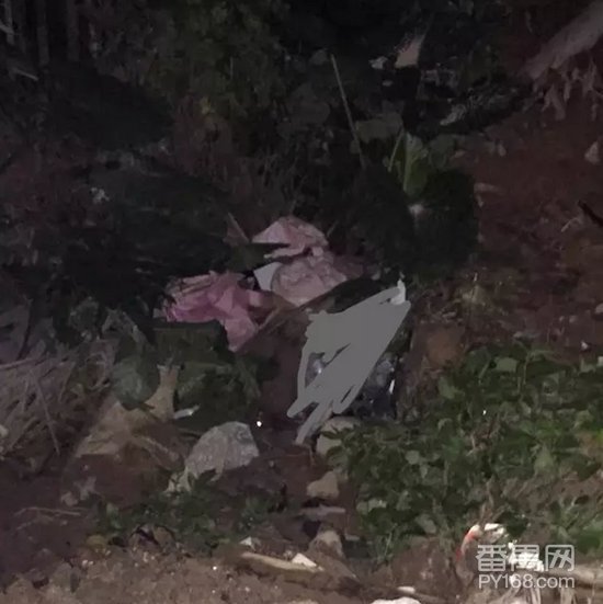 番禺事件的事件过程
