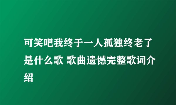 可笑吧我终于一人孤独终老了是什么歌 歌曲遗憾完整歌词介绍
