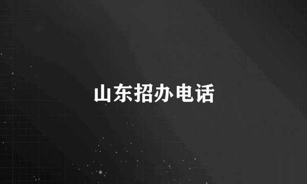 山东招办电话