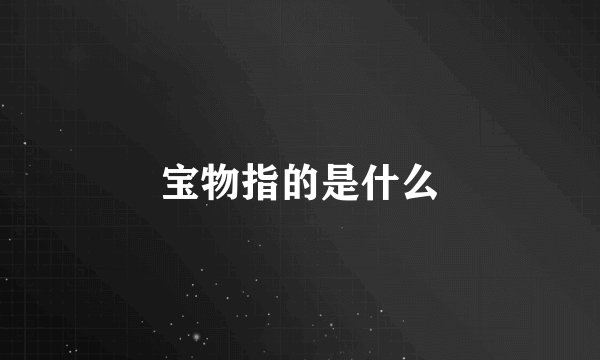 宝物指的是什么