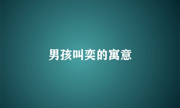 男孩叫奕的寓意