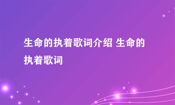 生命的执着歌词介绍 生命的执着歌词