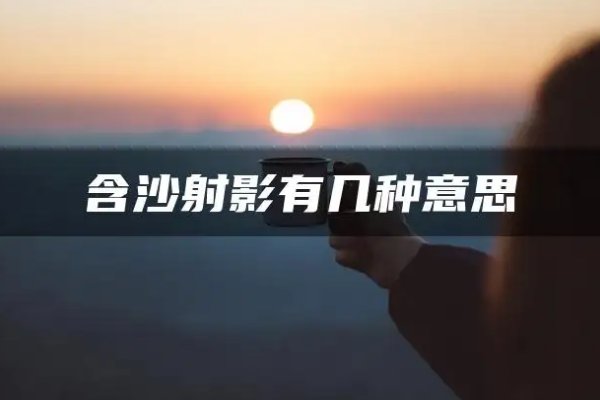含沙射影的近义词