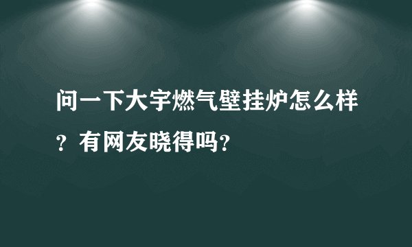 问一下大宇燃气壁挂炉怎么样?有网友晓得吗?