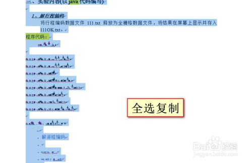 怎么把word文档的乱码变成文本?
