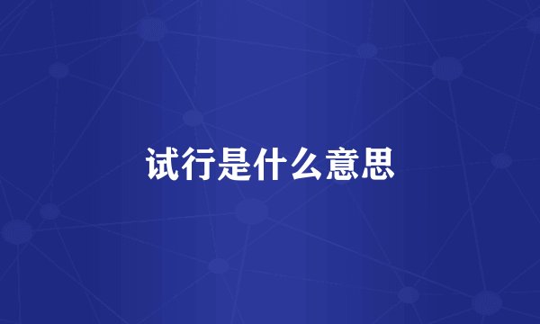 试行是什么意思