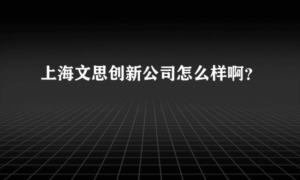 上海文思创新公司怎么样啊？