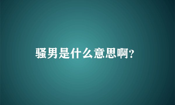 骚男是什么意思啊？