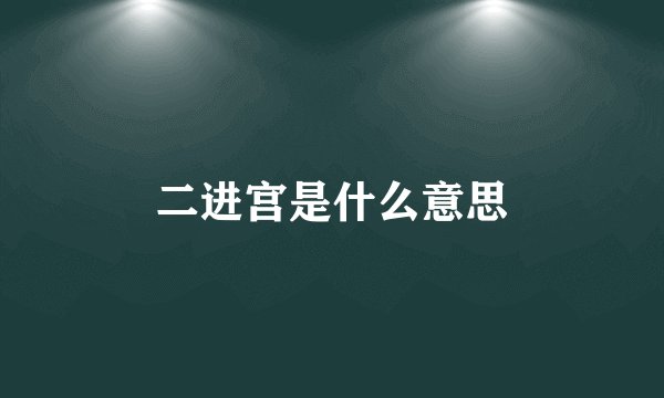 二进宫是什么意思