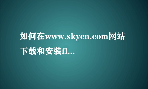 如何在www.skycn.com网站下载和安装flashget