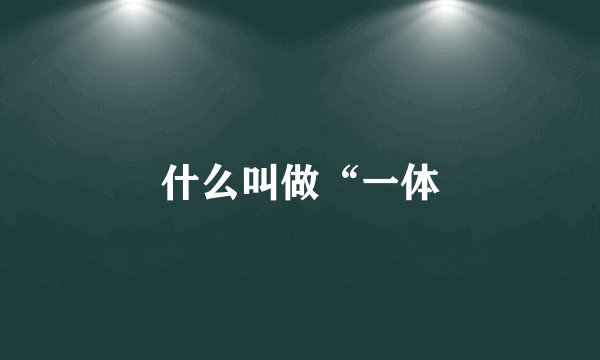 什么叫做“一体