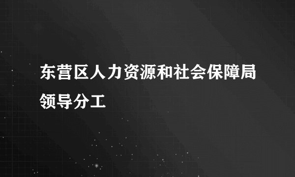 东营区人力资源和社会保障局领导分工